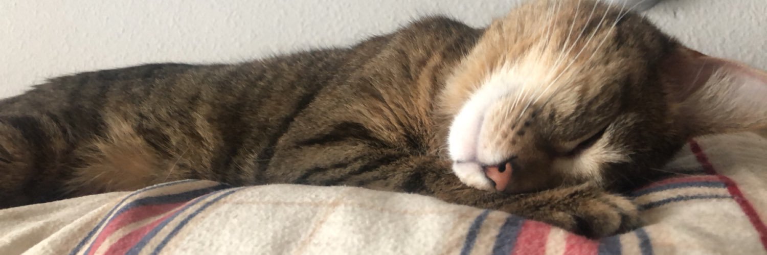 Breawnce's profile banner image
