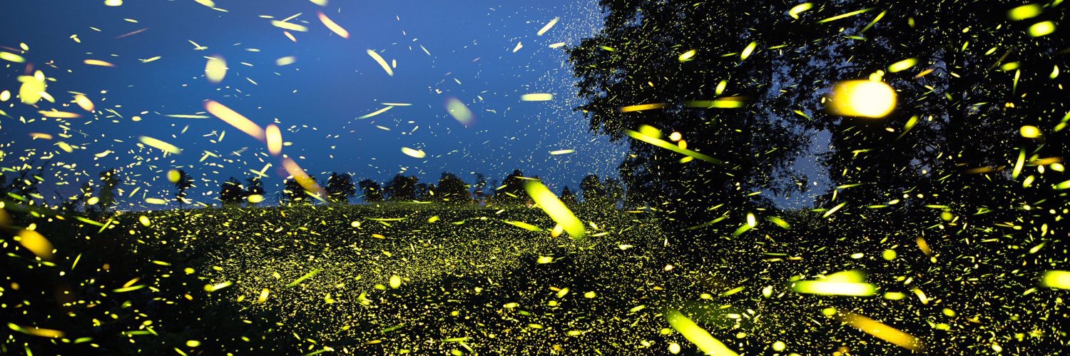 Chaplain Jerry Wigger II banner