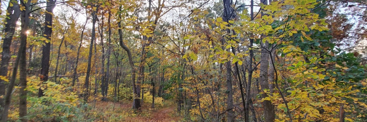 Avinash Dwivedi banner