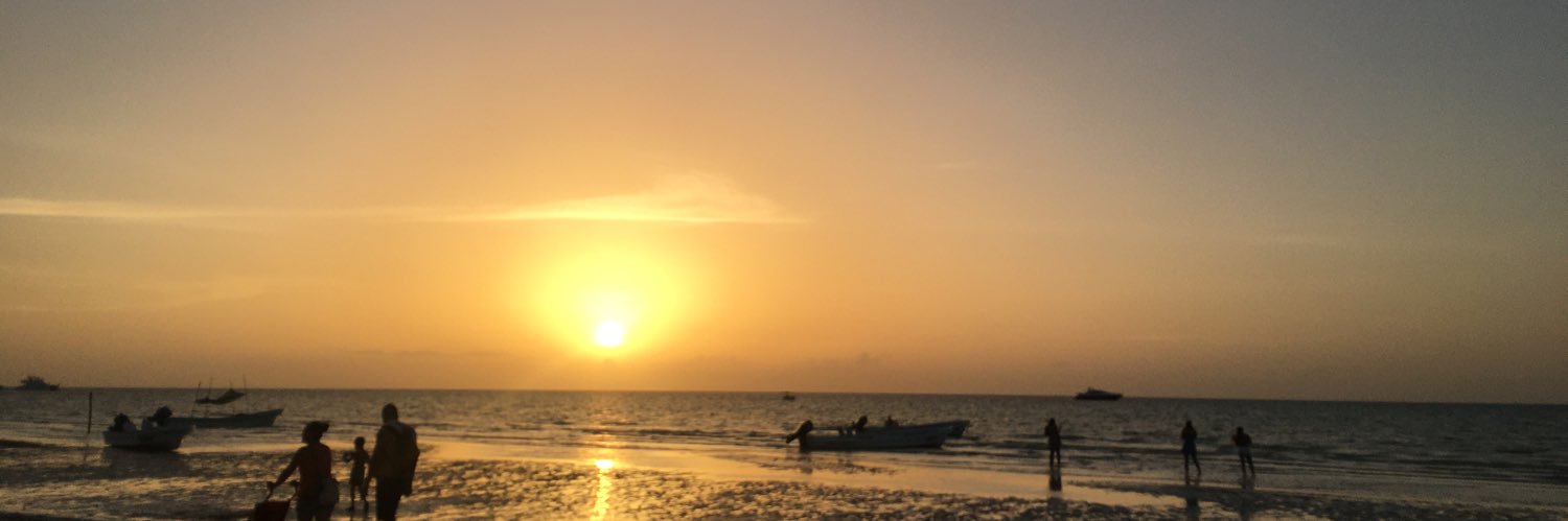 fresitadelsol's profile banner image