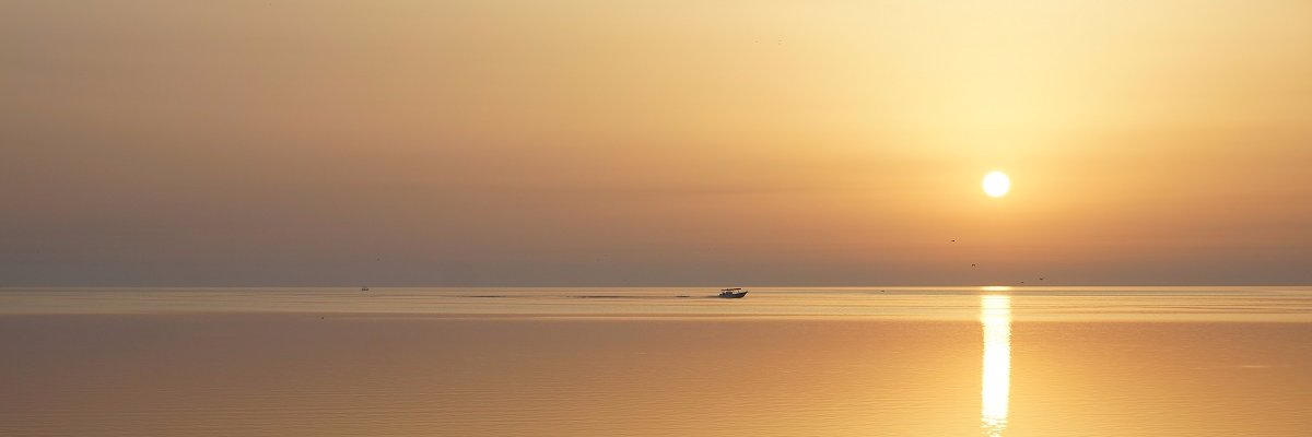 Hussam Alhouid banner