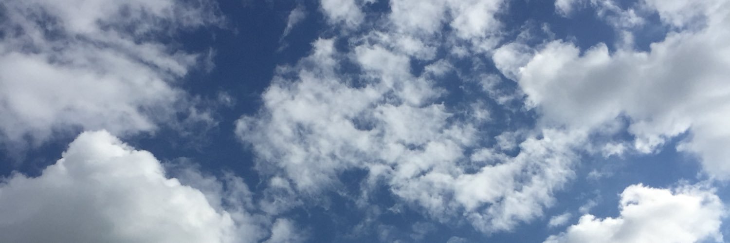 kateschildt's profile banner image