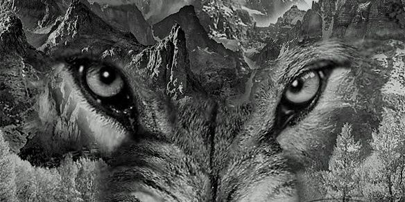 Rm5Juan's profile banner image