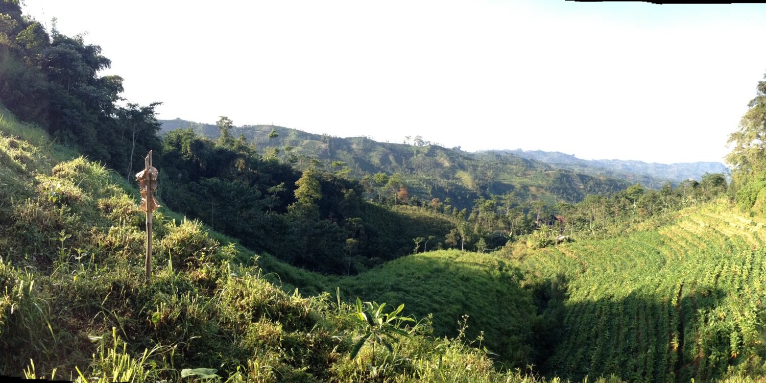 sigitananda's profile banner image
