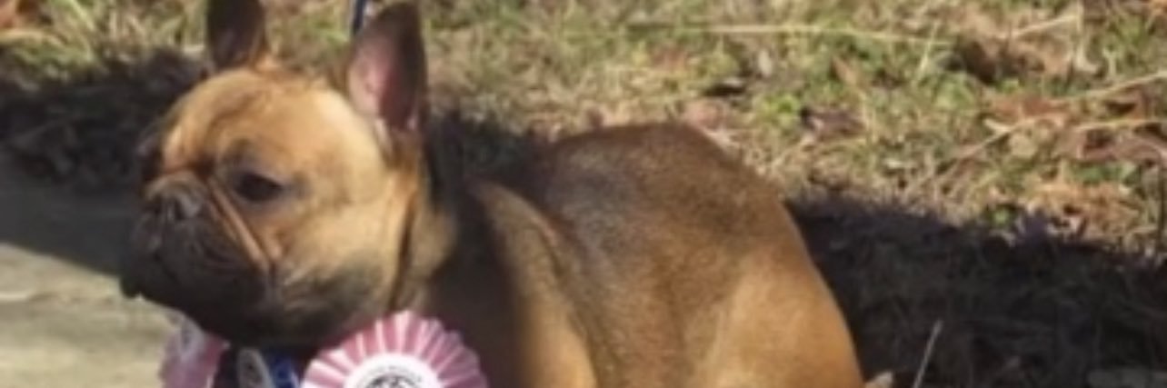_Freak4Real's profile banner image