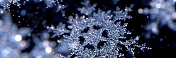 ❄️Redd3ited❄️'s banner