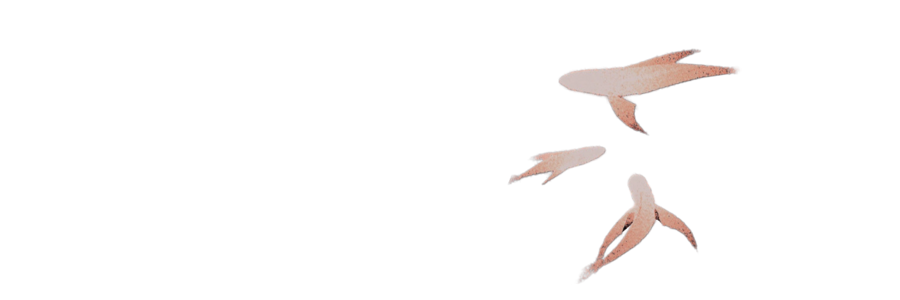 ‍ ‍‍🌊 ‧ ⁺ ‍𝒮𝗜𝗥𝗘𝗡’𝗦 、 ‍𝒞𝗔𝗟𝗟 . banner