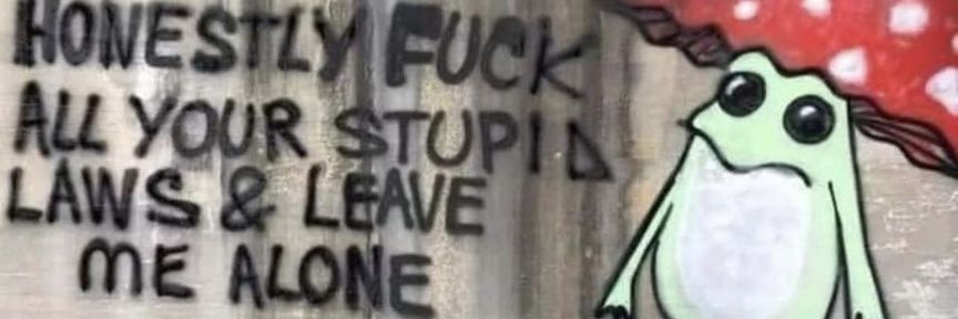 pierre st. pierre banner