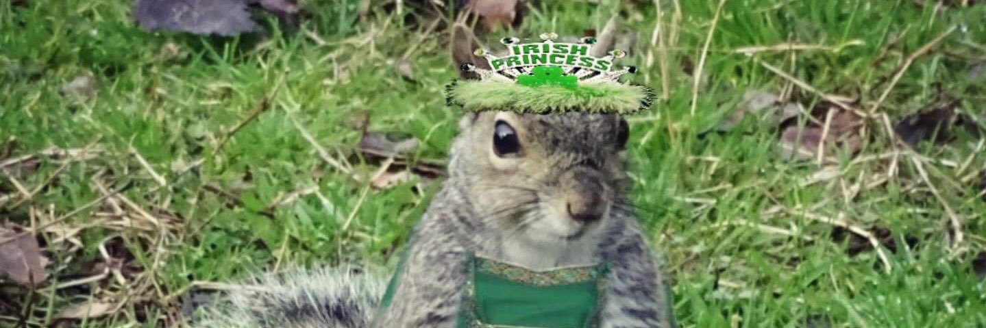 WillaTraleeFiona✨ banner