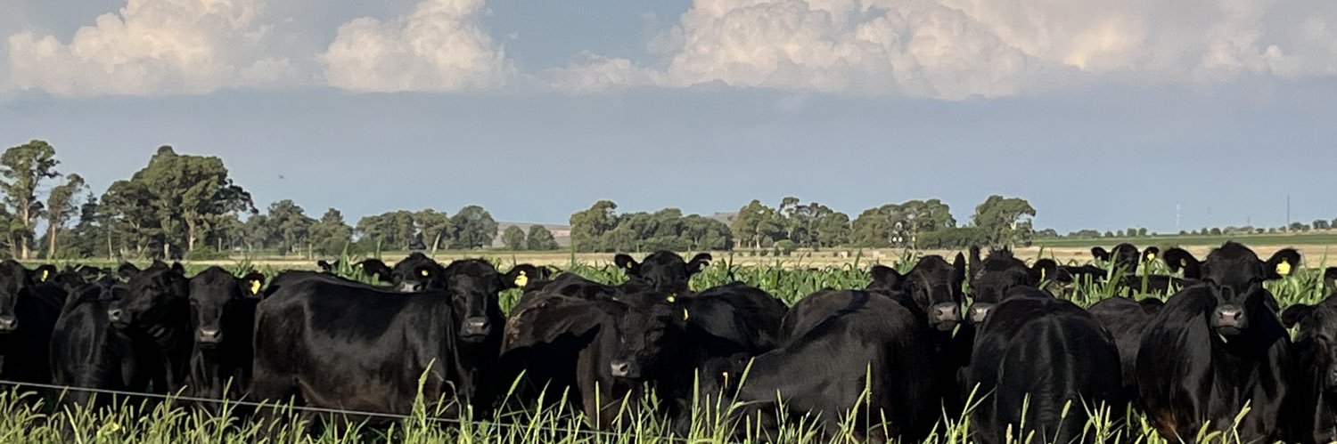 Federico Conforti banner