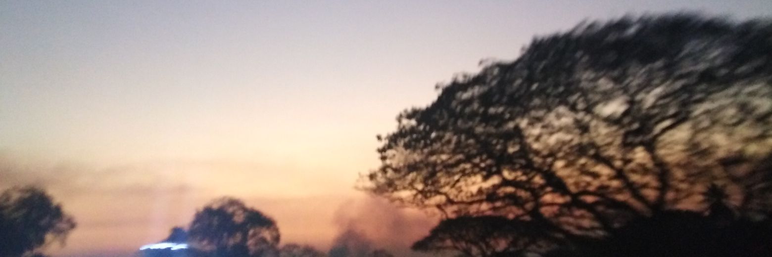 Emurialdo13's profile banner image