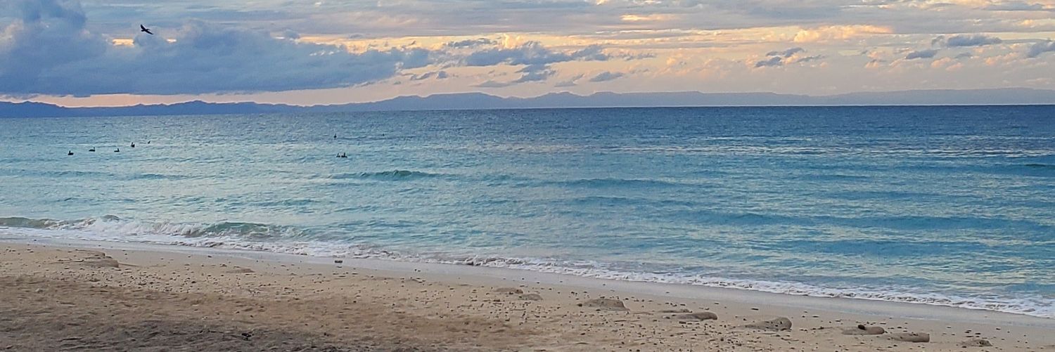 PaoloSimpson's profile banner image