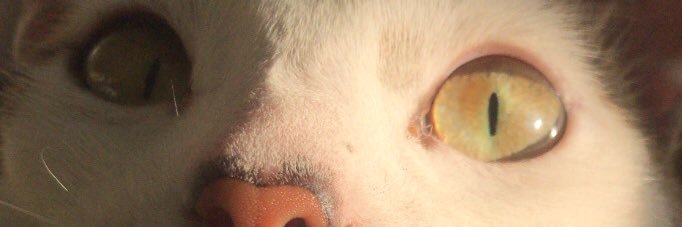 mathpaes_'s profile banner image