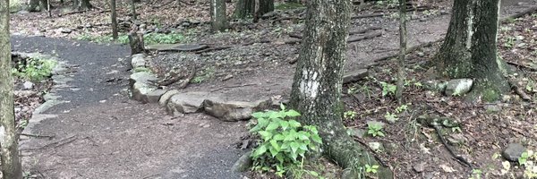 jstonediaz Profile Banner