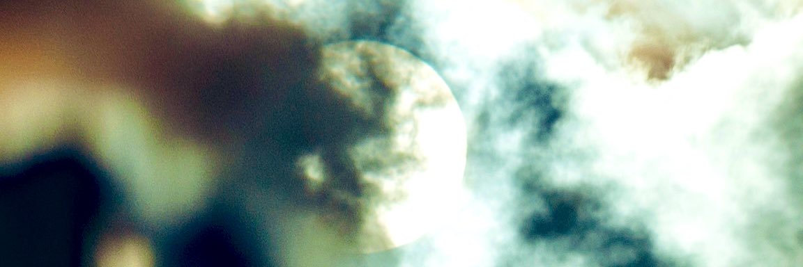 everything sucks's banner
