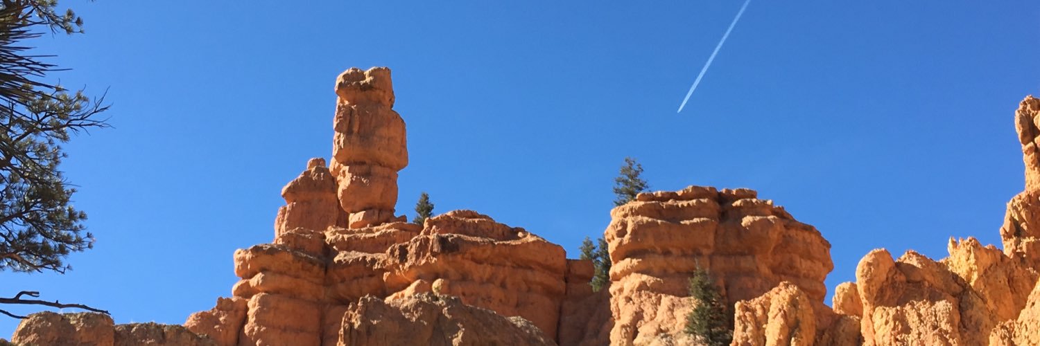 furflys's profile banner image