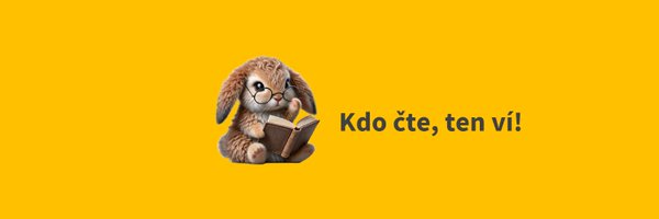 vimcocist Profile Banner