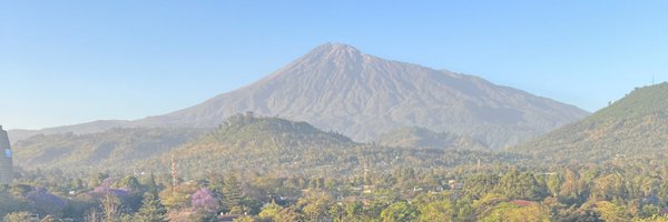 bitcoinarusha Profile Banner