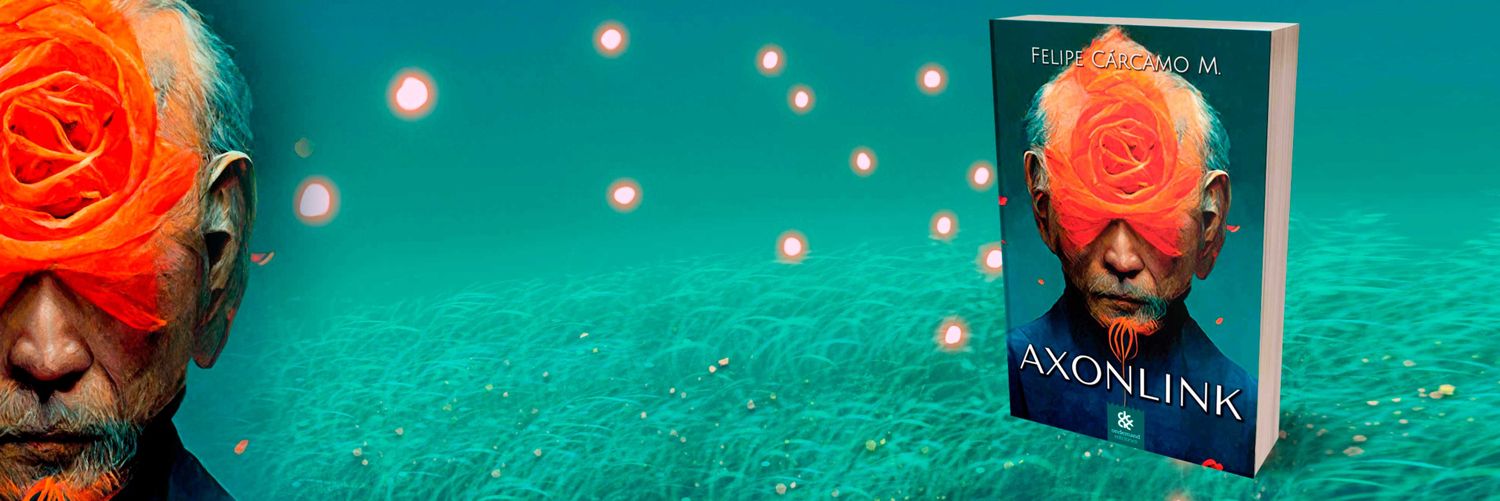 buho_net's profile banner image