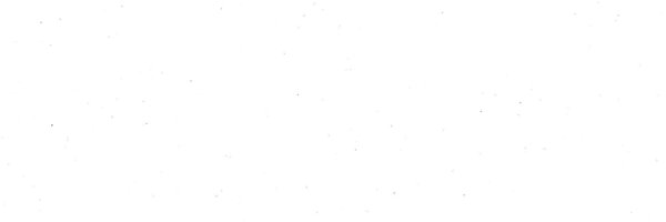 fasel Profile Banner