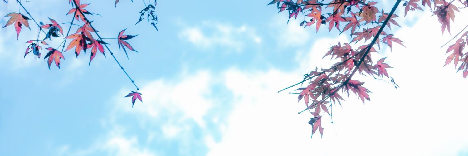 小川れもん🚰アイドル裏垢 banner