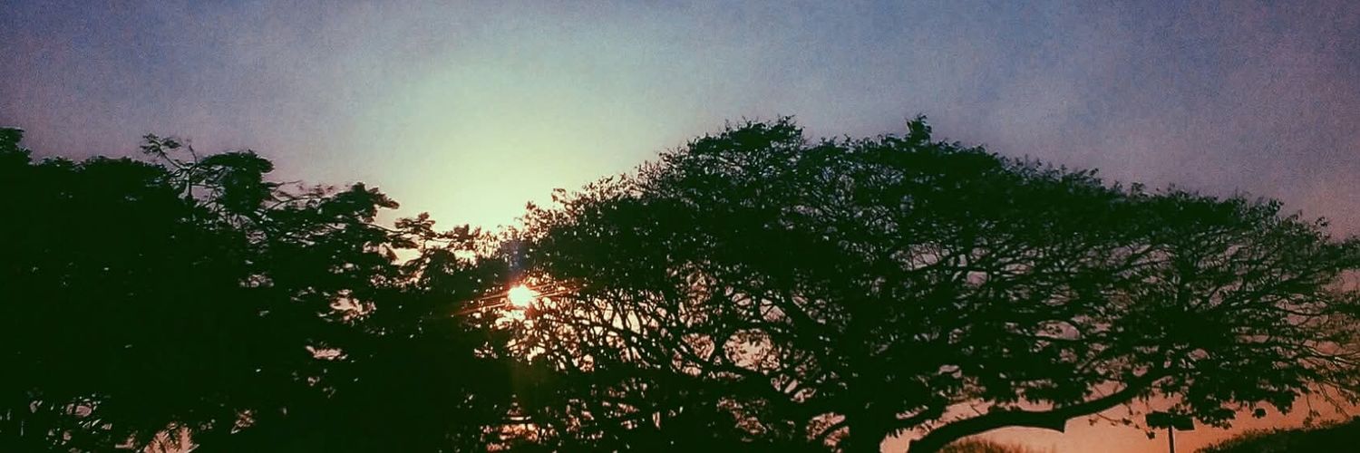 creampuffsol's profile banner image