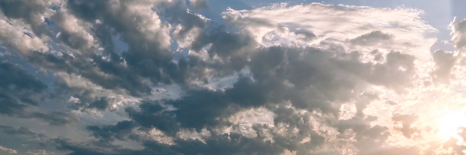 oidaann's profile banner image