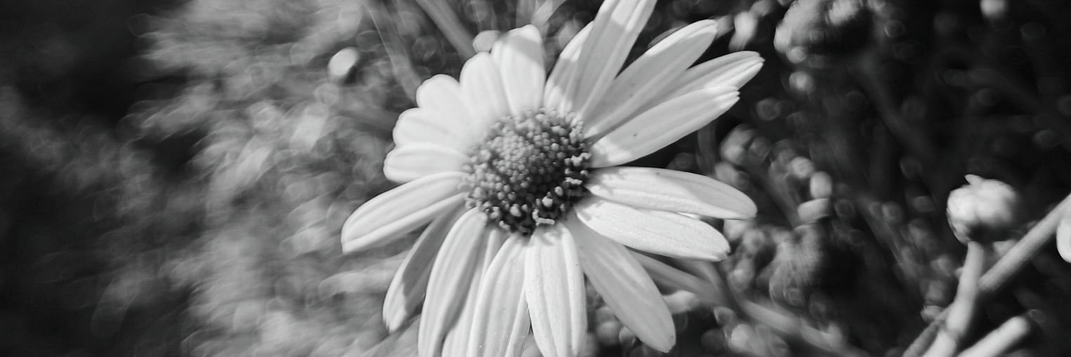 🌚 banner
