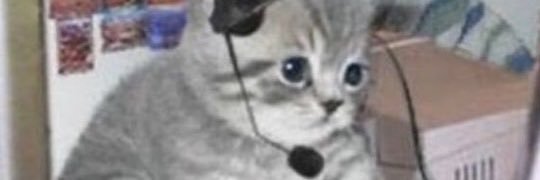 SecretDBiscuits's profile banner image