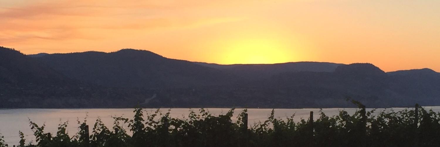 jlekich's profile banner image