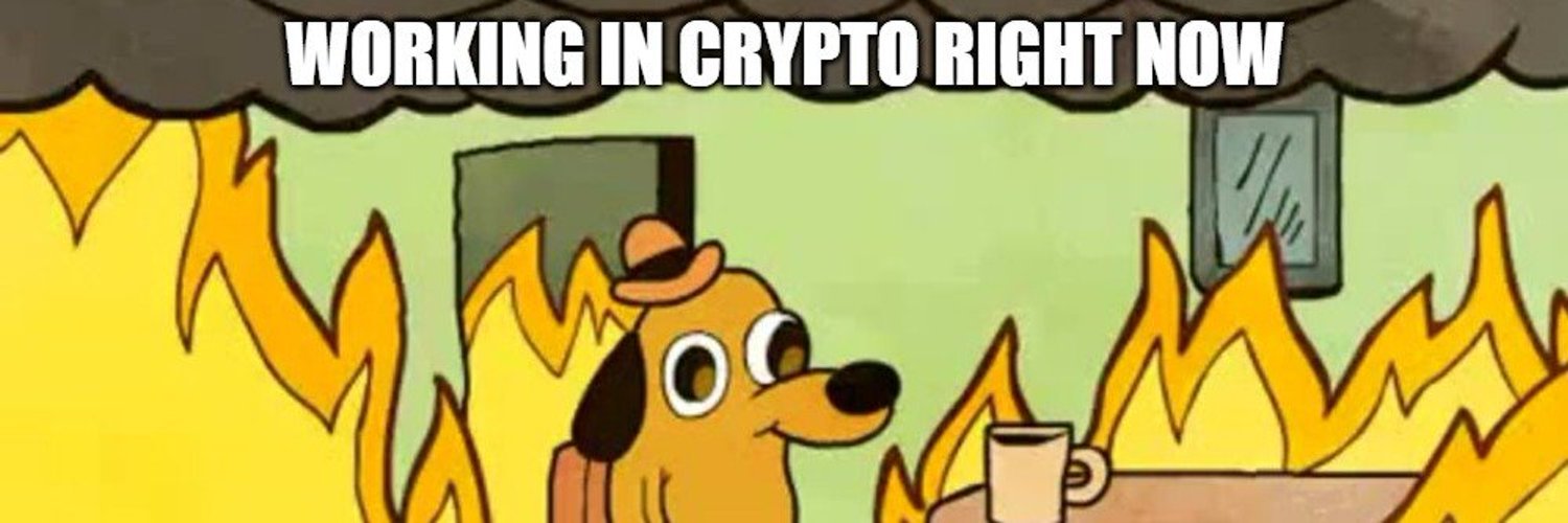 Cabbage Intern banner