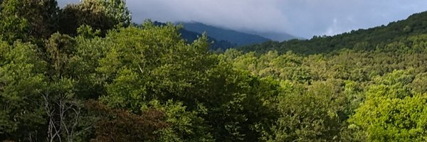 Rickbarmore Profile Banner