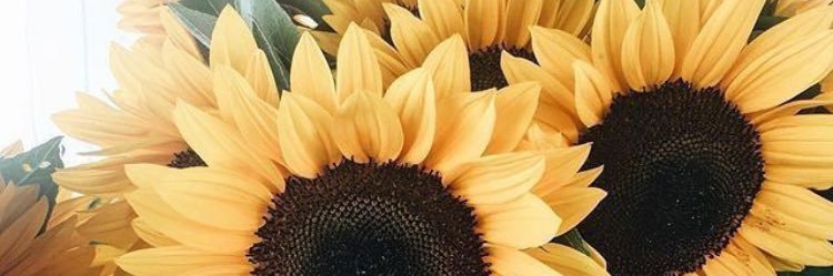 Hay_Scoffield's profile banner image