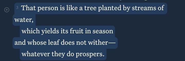 hale²⁷ 🧤 banner