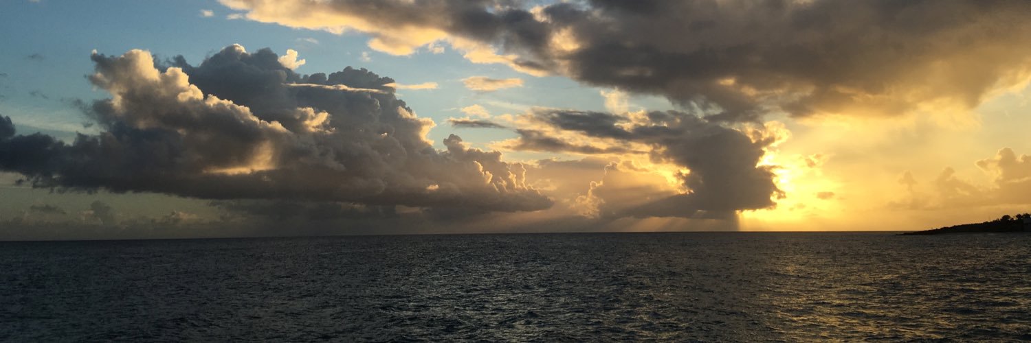TheLisaMooring's profile banner image
