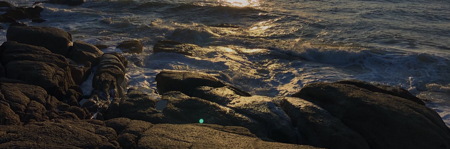 L8 banner