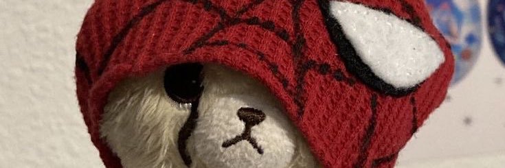 won🌷🥐⭐️ banner