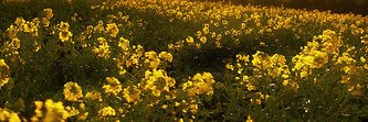 GabrielRod84383's profile banner image