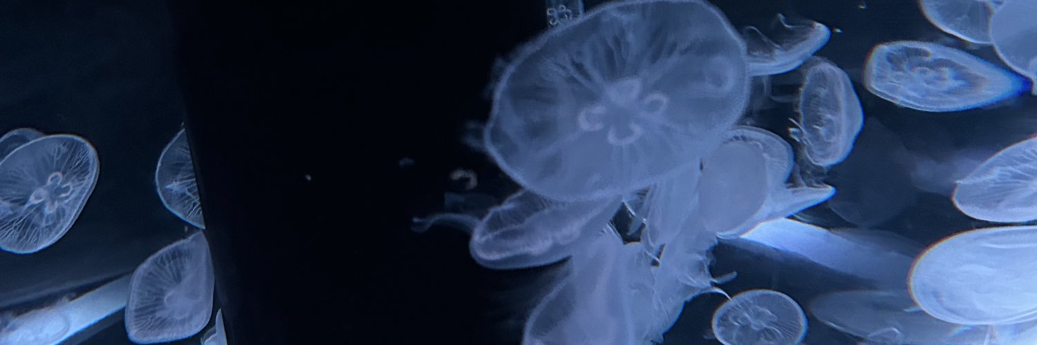 みーくん banner