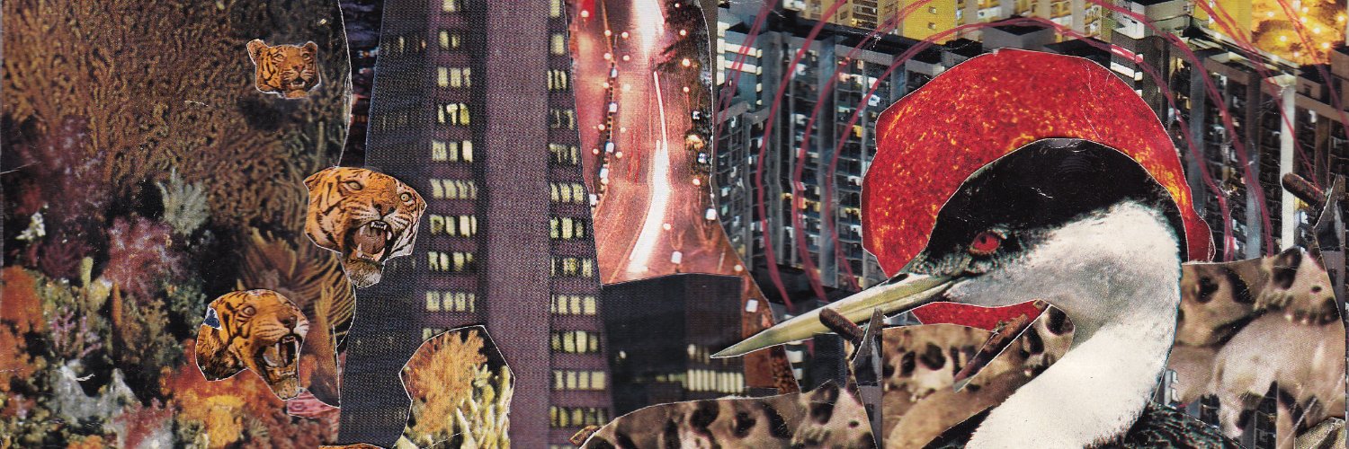 Oheylil's profile banner image