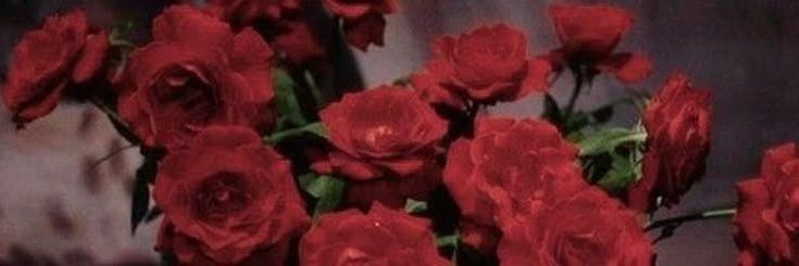 🌹💗 ~ Rubi / Pomni / Cyn's banner