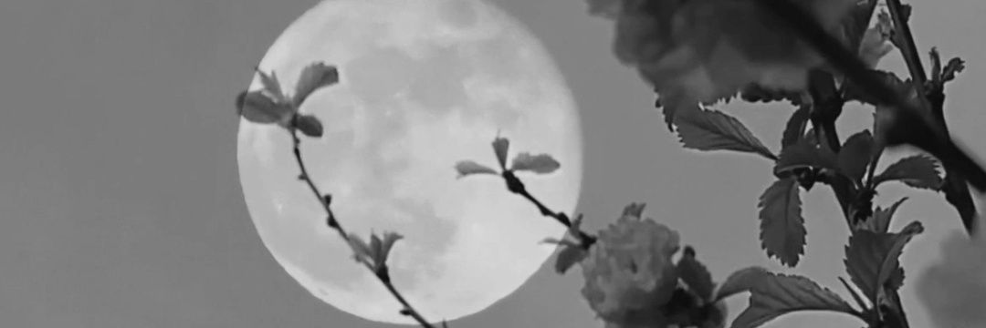 fahd banner