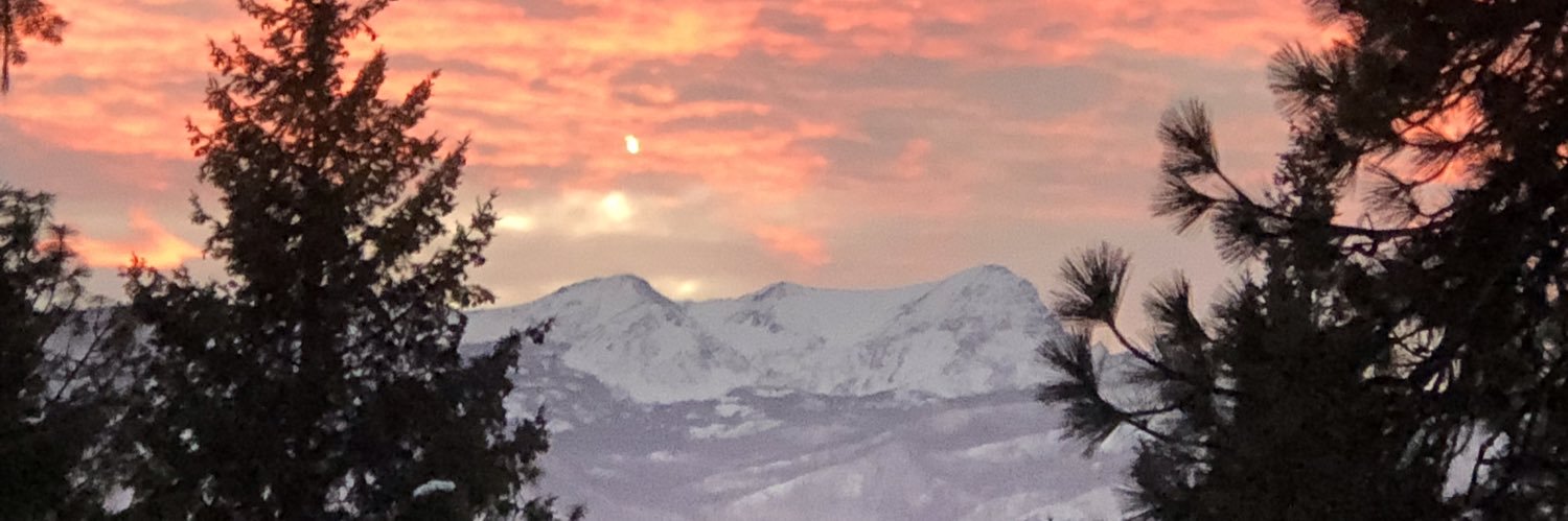 Paul Magnaghi banner