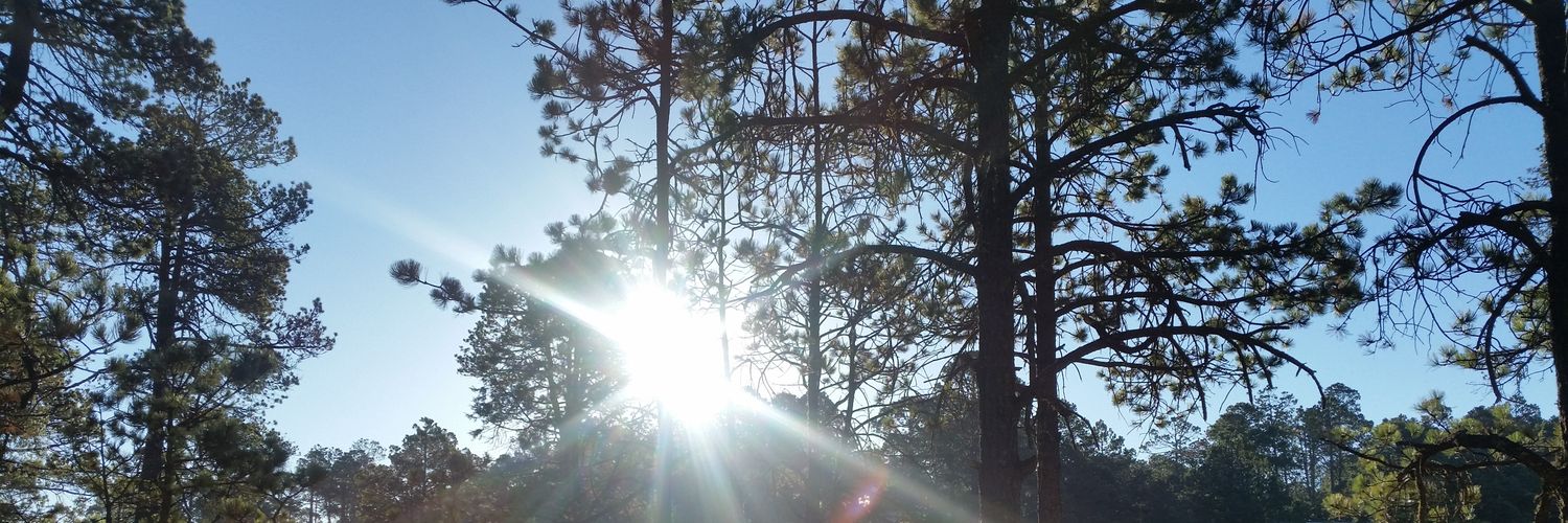 OSaurom's profile banner image