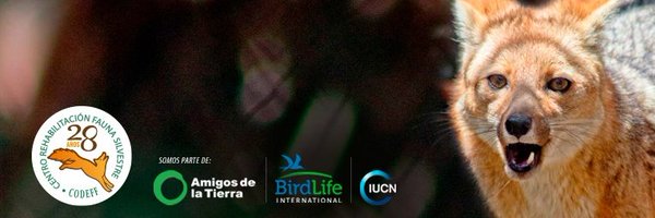 codeffchile Profile Banner