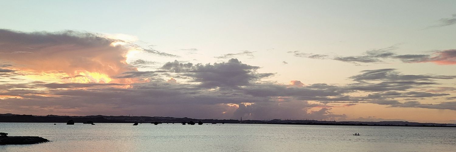 ここ banner