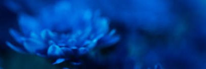 Alris banner