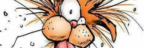 snobound's profile banner image