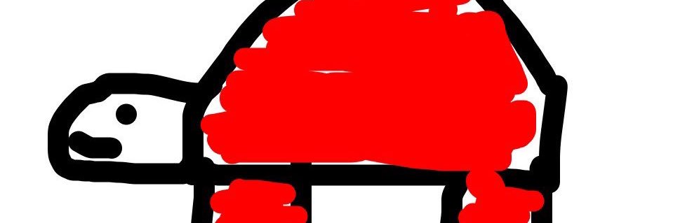 RedTurtle banner