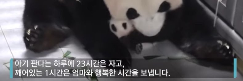 싱싱이(폐관수련) banner